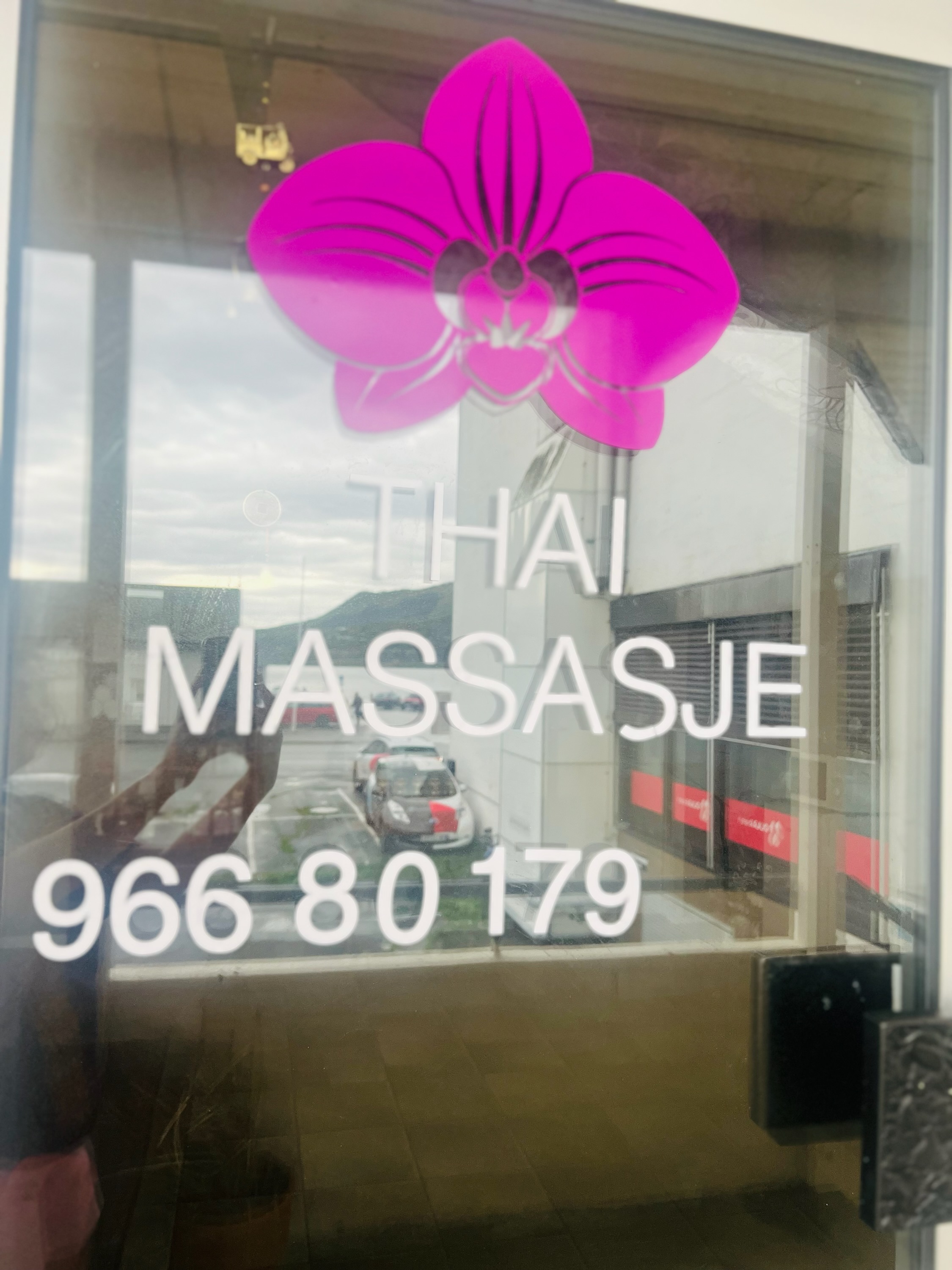 Thumbnail Galleribilde 6