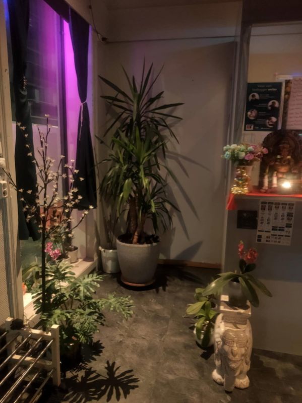 Thumbnail Galleribilde 10